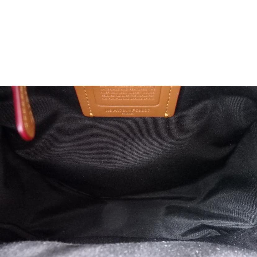 COACH Backpack Daypack Disney Collaboration F59837 A17** B Rank 76Used F59837 6