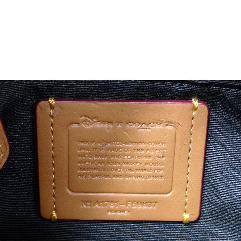 COACH Backpack Daypack Disney Collaboration F59837 A17** B Rank 76Used F59837 7