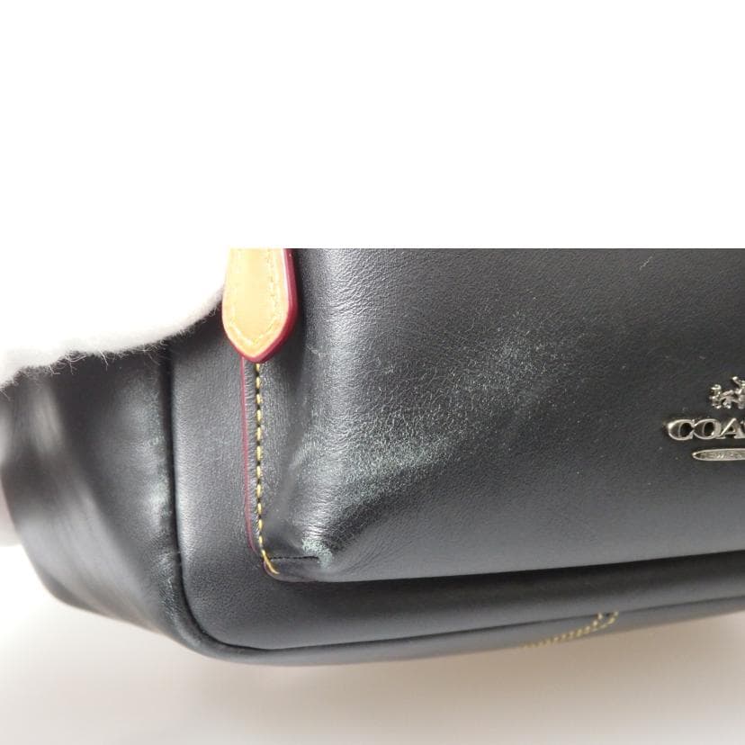 COACH Backpack Daypack Disney Collaboration F59837 A17** B Rank 76Used F59837 10