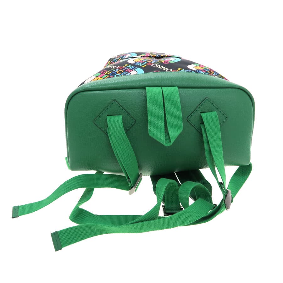 Gucci x North Face / Backpack 650288 4