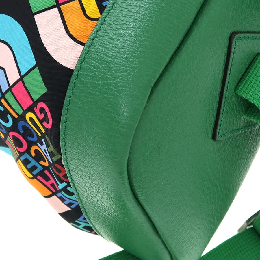 Gucci x North Face / Backpack 650288 5