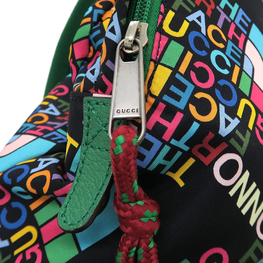 Gucci x North Face / Backpack 650288 6