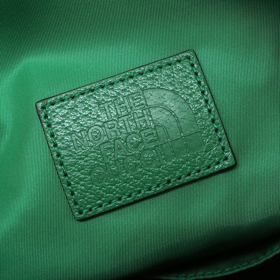 Gucci x North Face / Backpack 650288 7