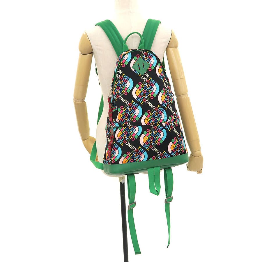 Gucci x North Face / Backpack 650288 9