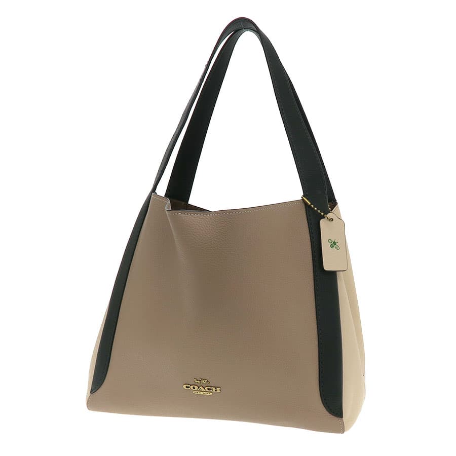 Hadley Hobo Color Block (with tag bee mark) 76088