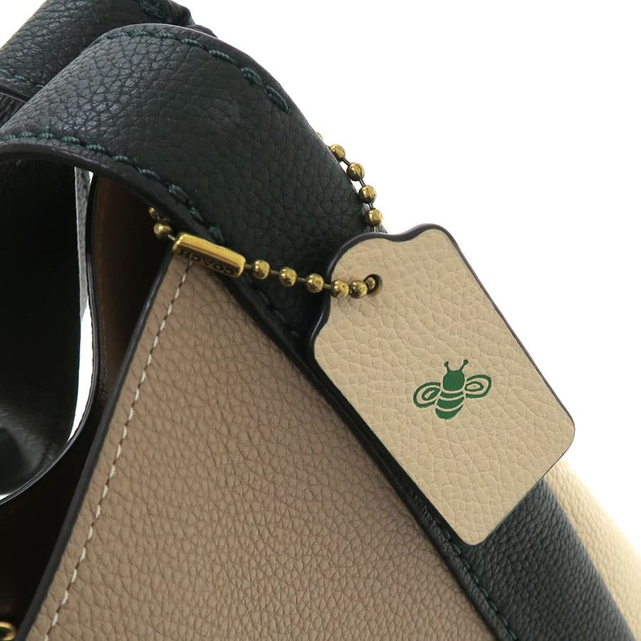 Hadley Hobo Color Block (with tag bee mark) 76088 5