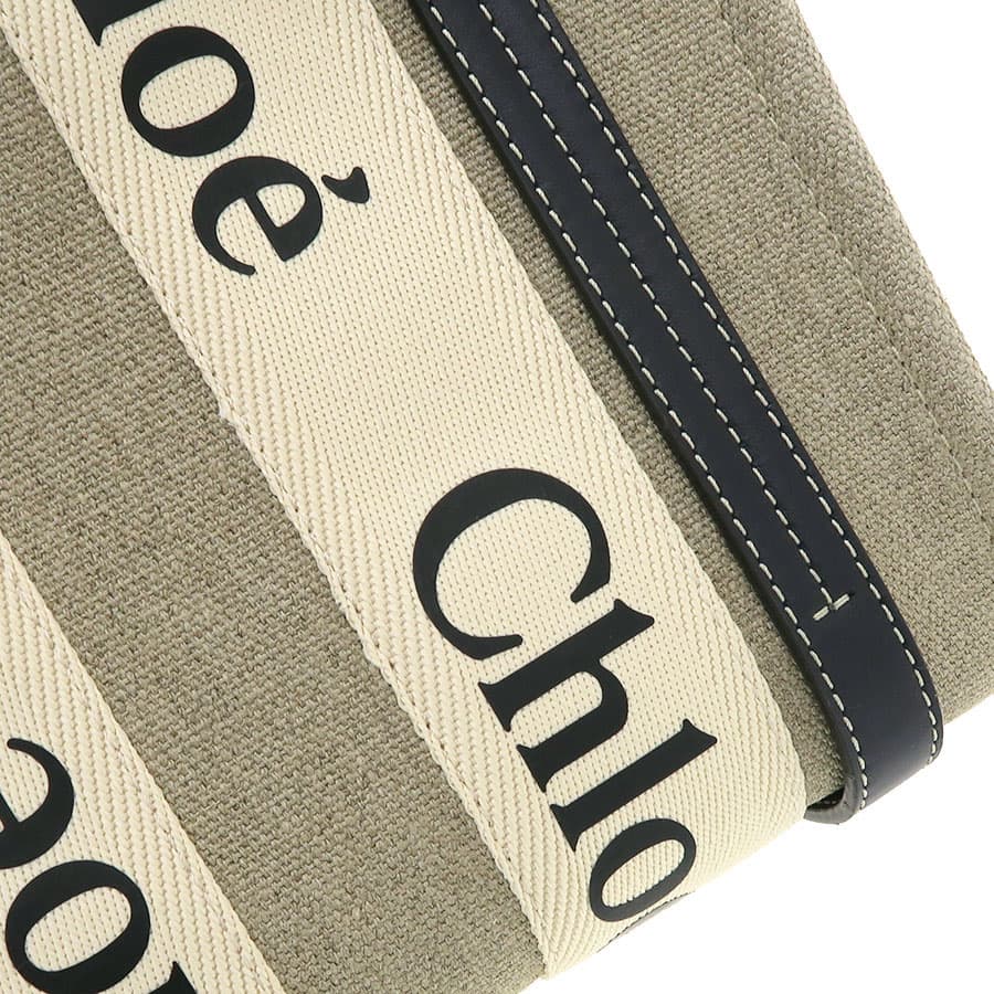 WOODY Small Tote Bag CHC22AS397I2691J 6