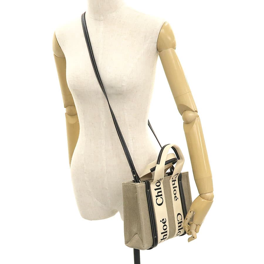 WOODY Small Tote Bag CHC22AS397I2691J 9