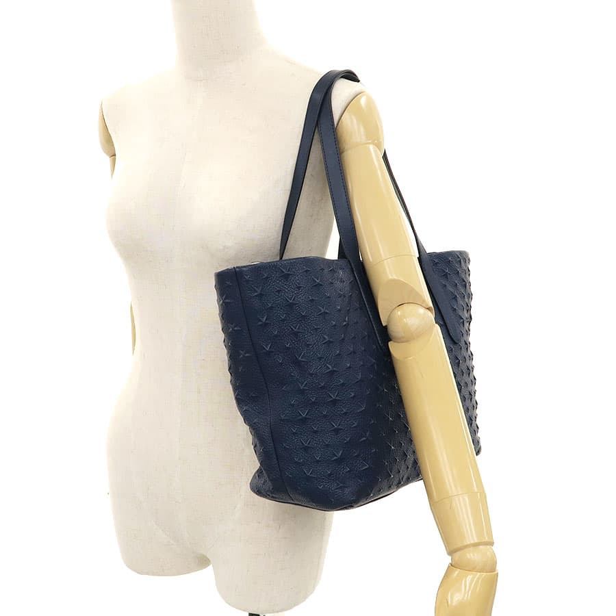 Sophia Medium Tote 9