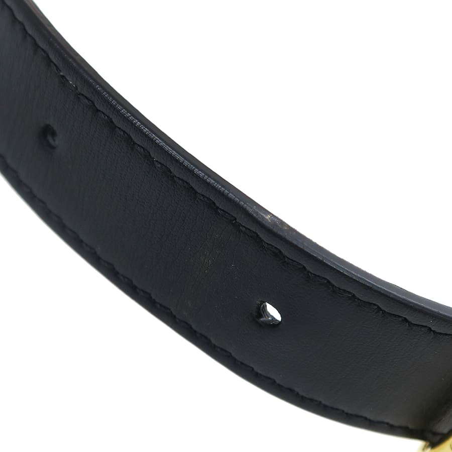 Medium Messenger Bag / CELINE Print 194502CIM.38OG 4