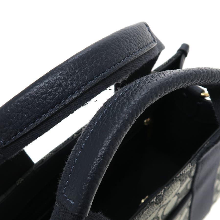 Smith Tote Bag 24 CAR78 6