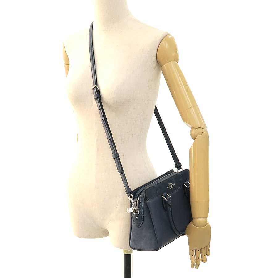 Mini Dorsey Carryall CM101 9