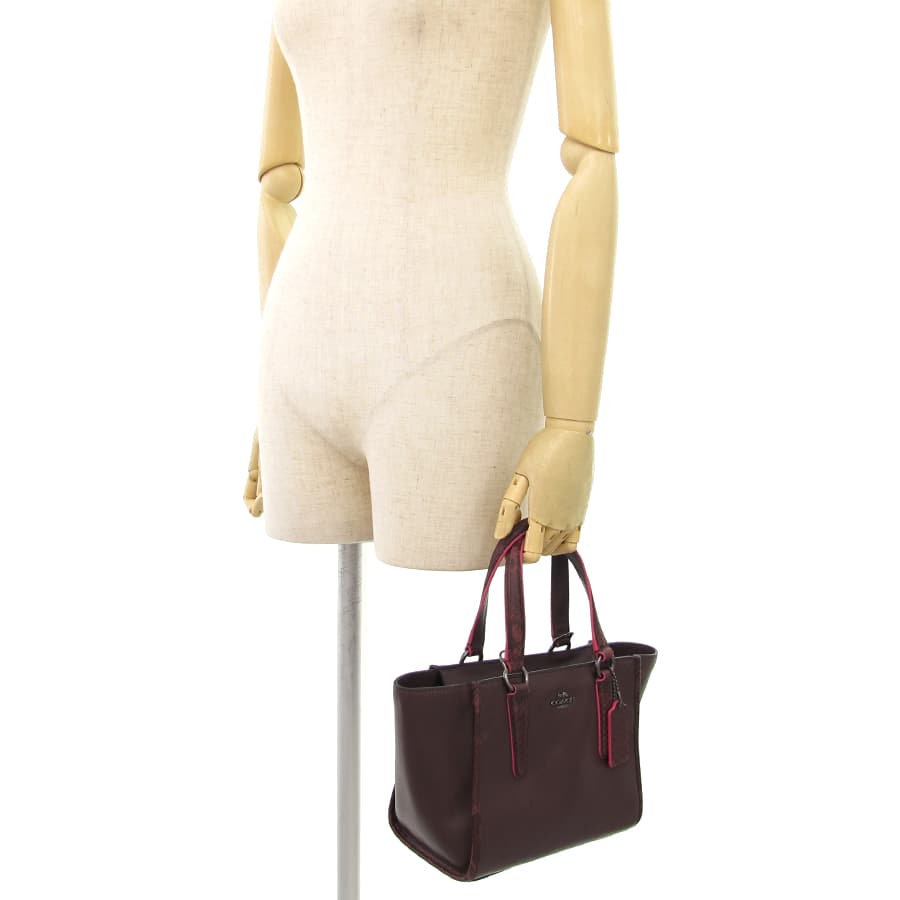 Exotic Trim Leather Crossbody F20894 8