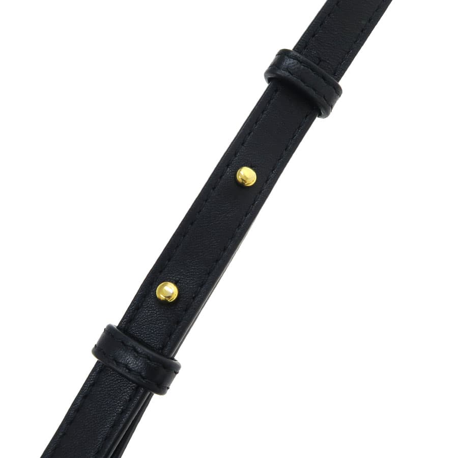 Mini Cassette Crossbody Bag 8