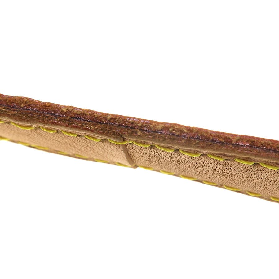 Musette Tango Long Strap M51388 5